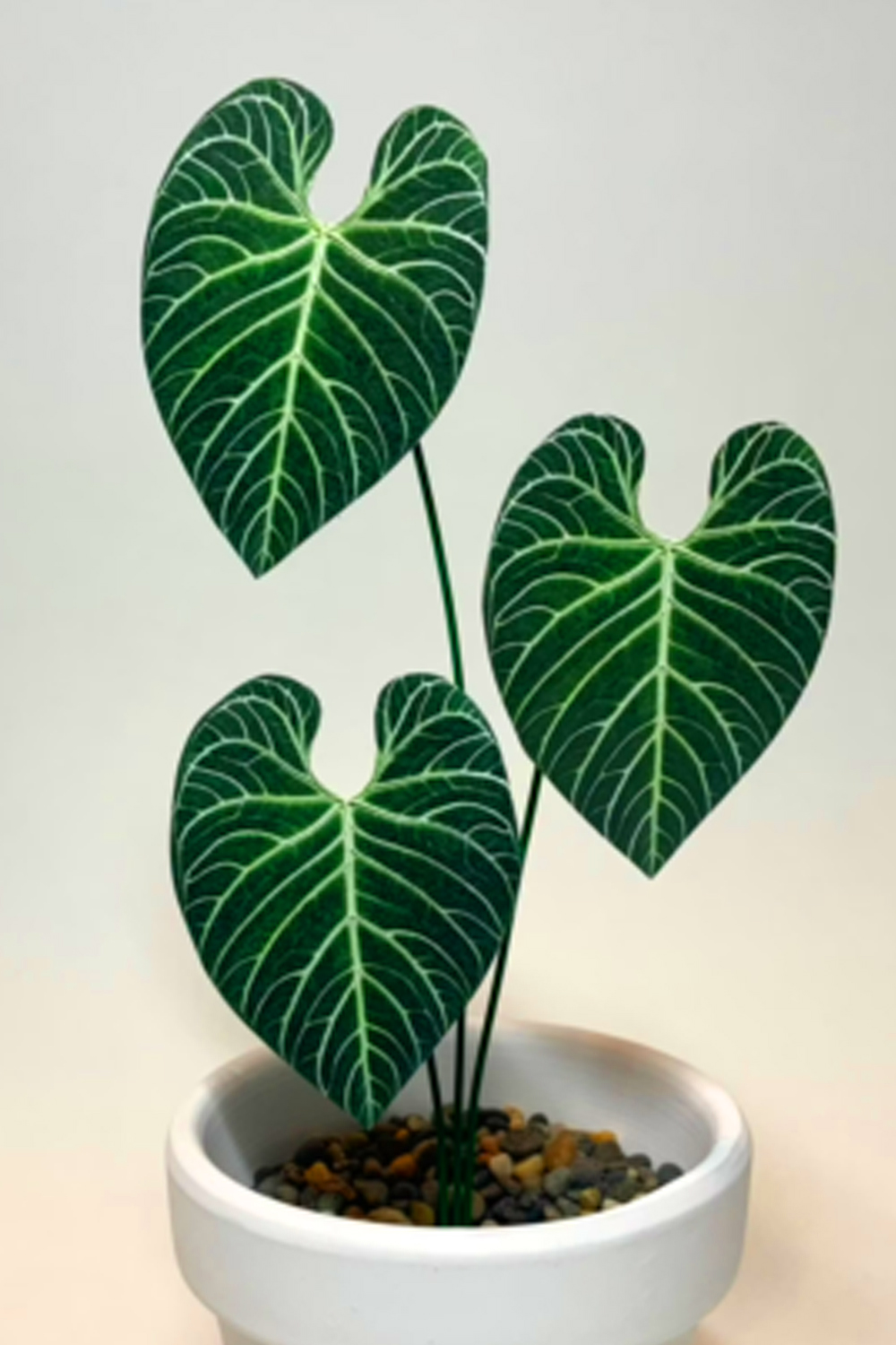 about-banner